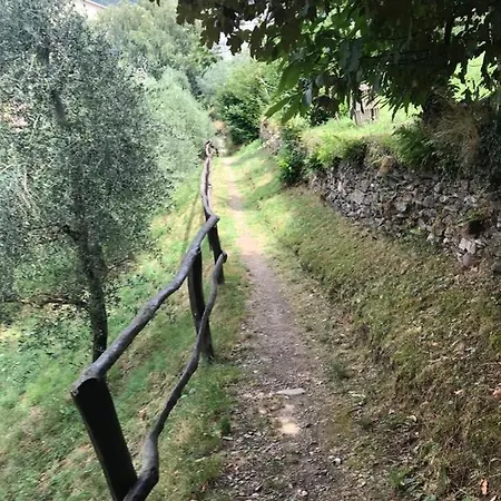 Lake Como Rivalba בלאנו